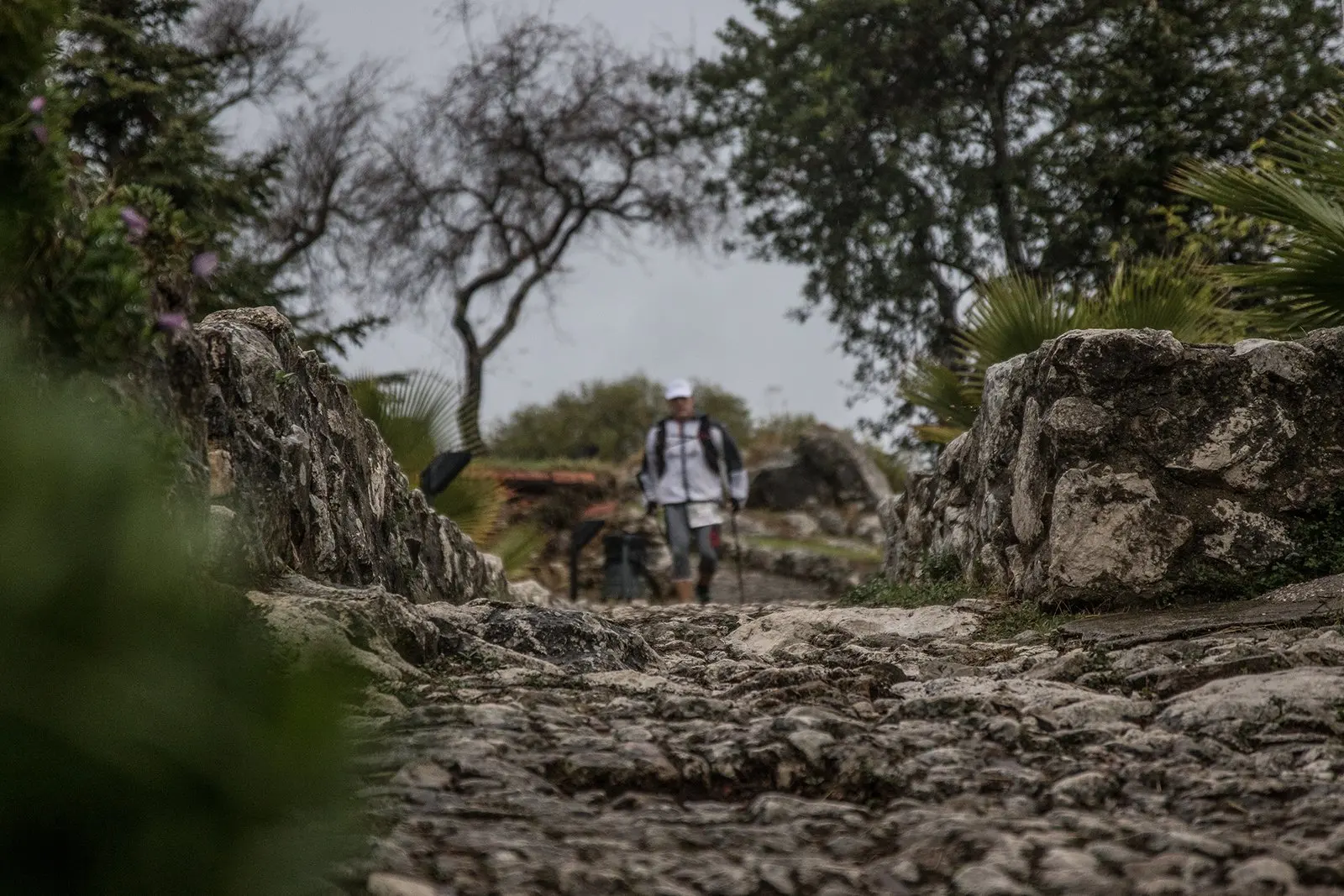 Trail running — fotografía de John Ortiz
