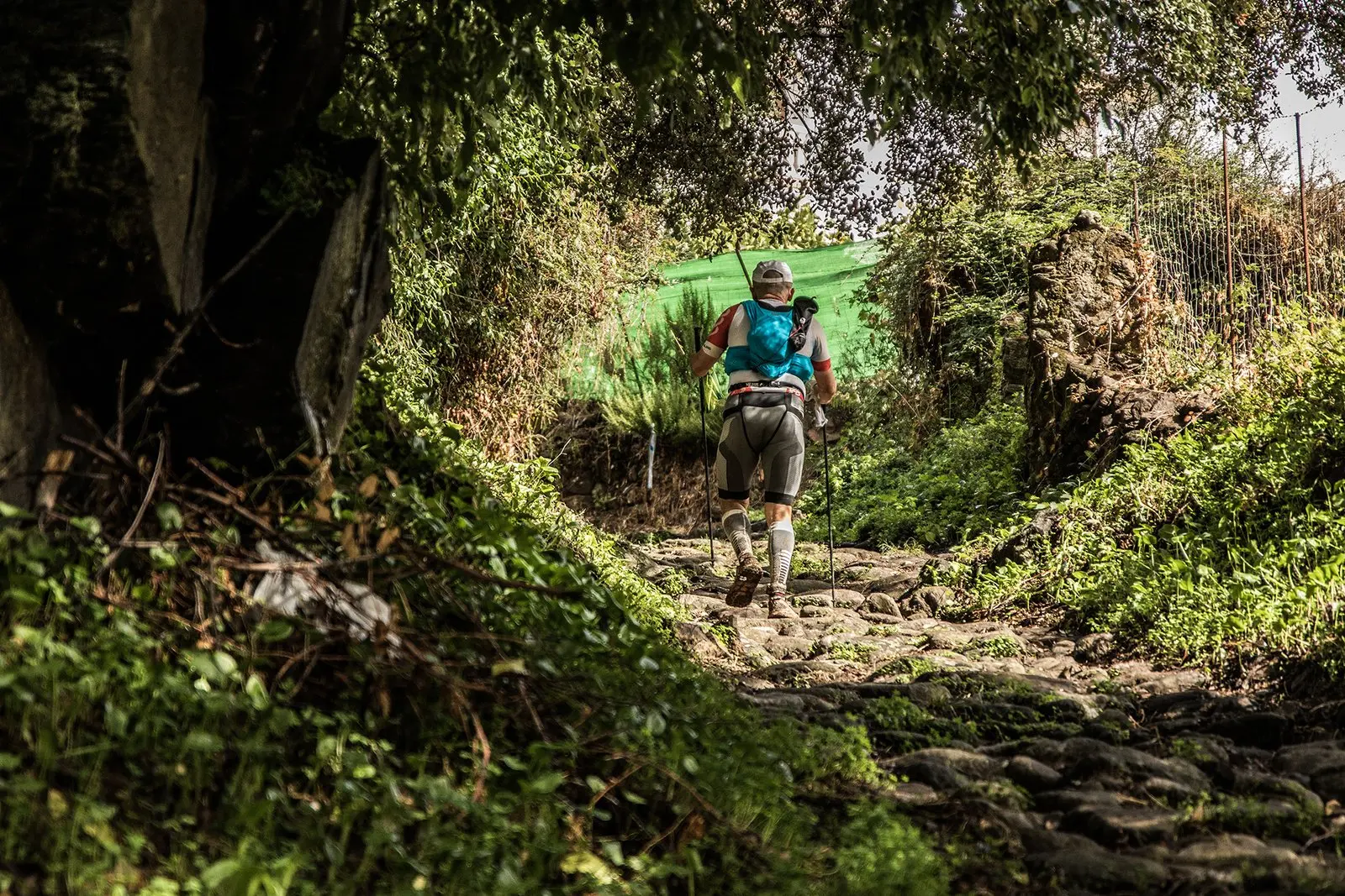 Trail running — fotografía de John Ortiz
