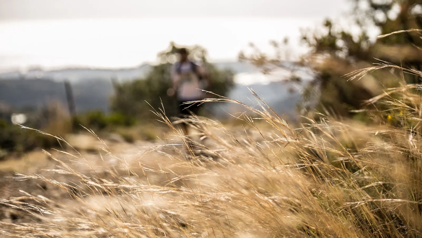 Trail running — fotografía de John Ortiz