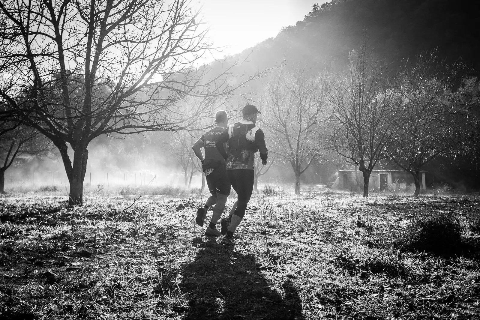 Trail running — fotografía de John Ortiz