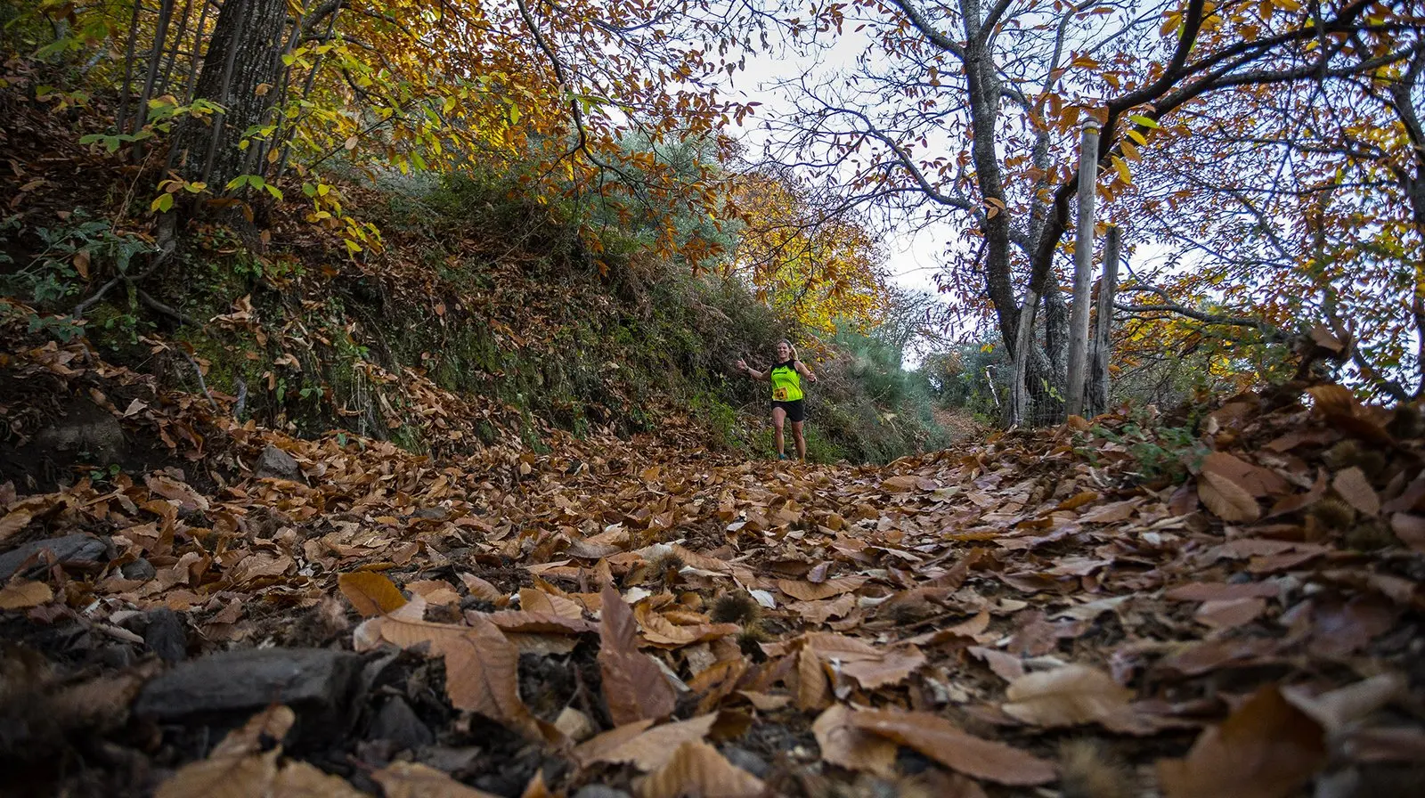 Trail running — fotografía de John Ortiz
