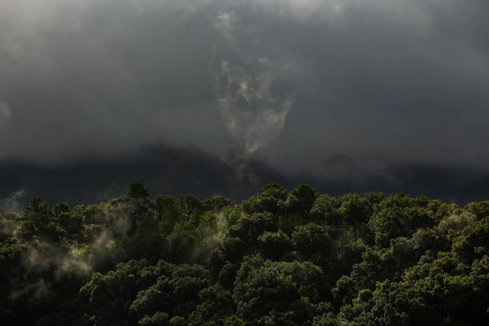 Trail running — fotografía de John Ortiz