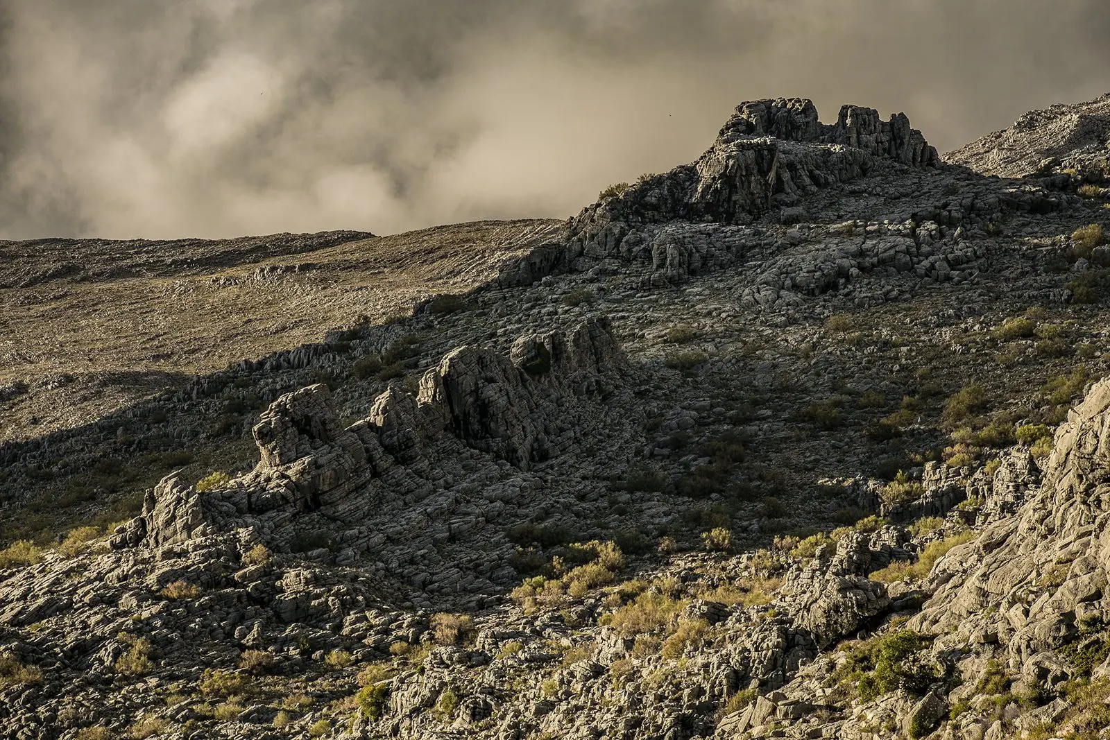Trail running — fotografía de John Ortiz