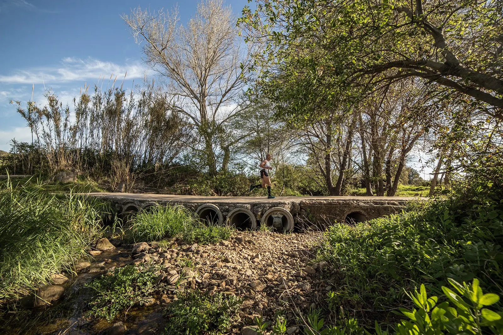 Trail running — fotografía de John Ortiz