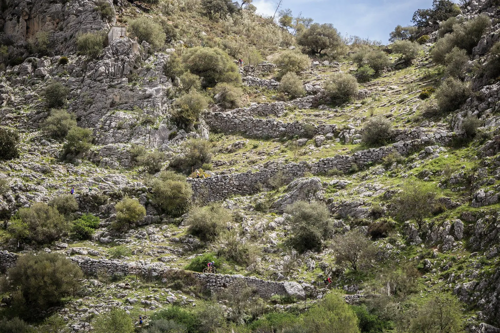 Trail running — fotografía de John Ortiz