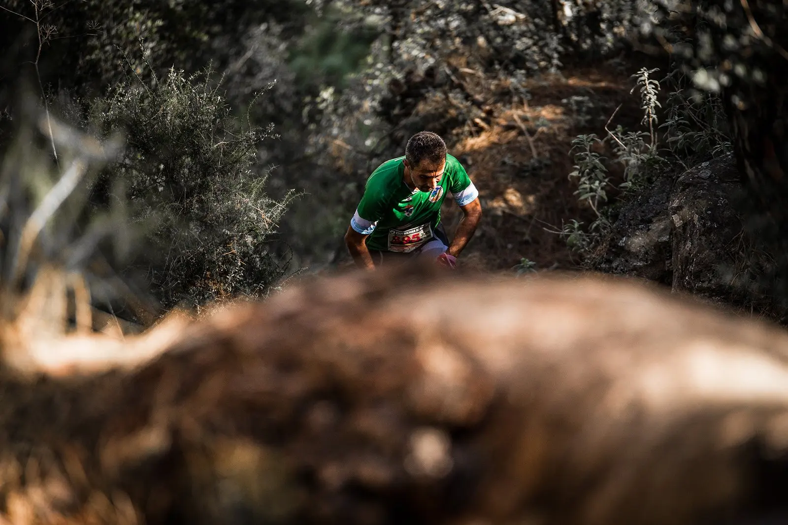 Trail running — fotografía de John Ortiz