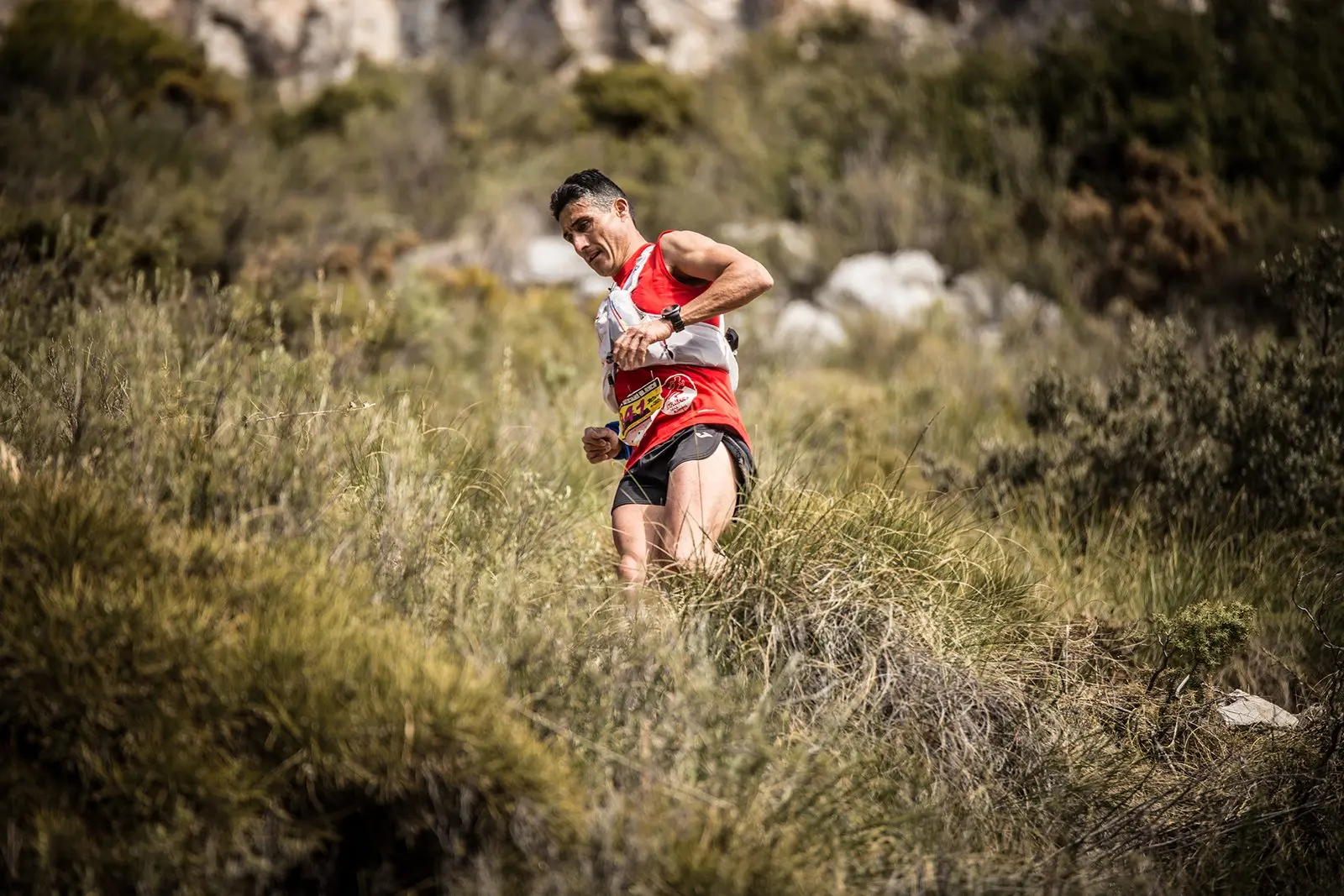 Trail running — fotografía de John Ortiz