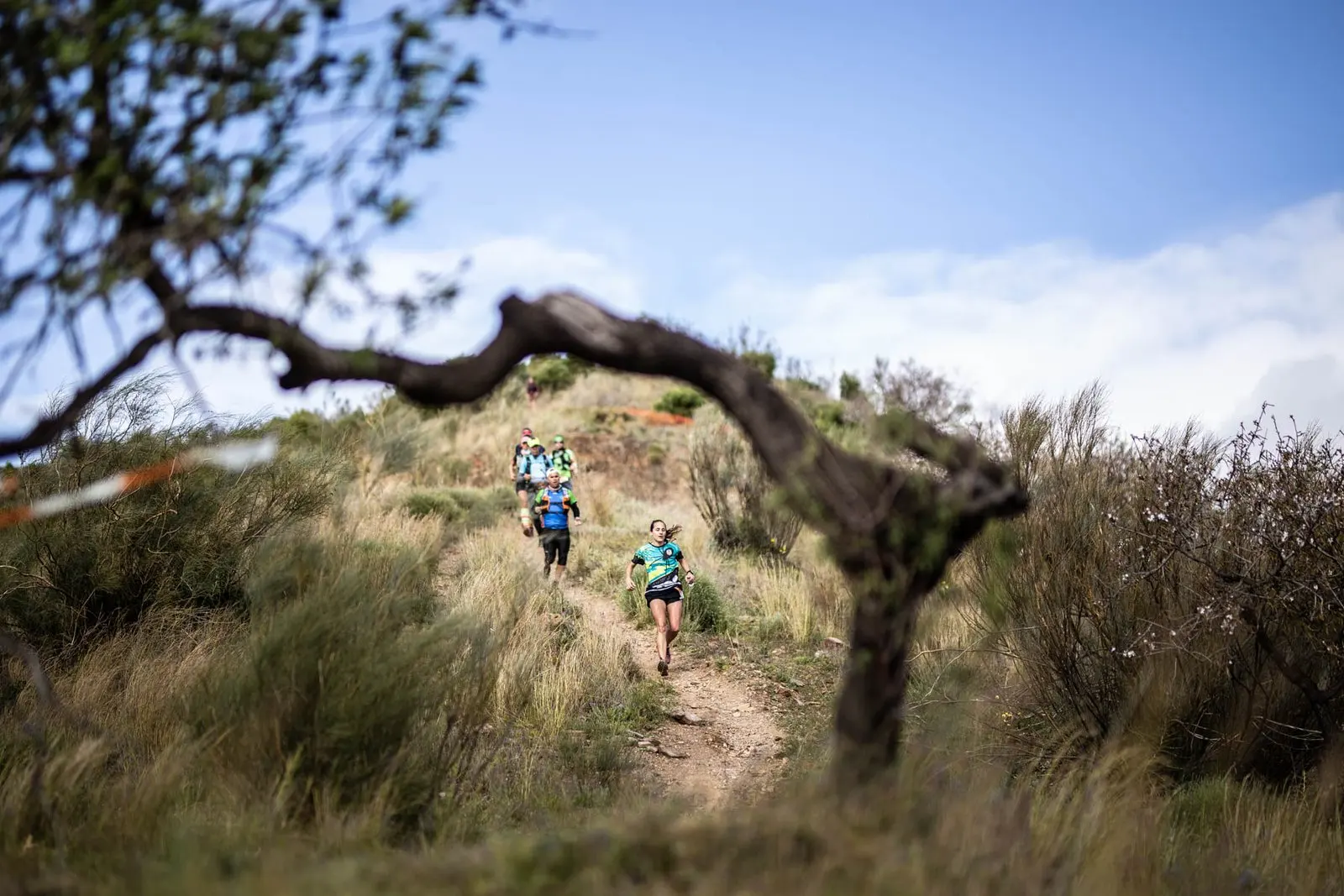 Trail running — fotografía de John Ortiz