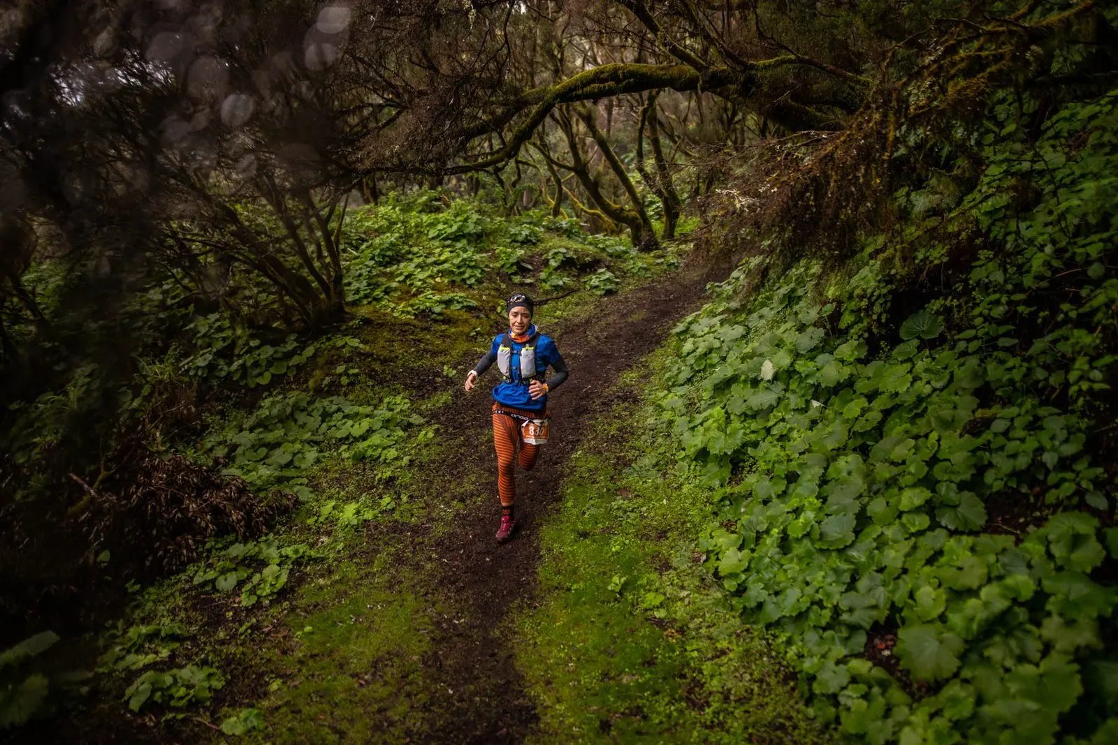 Trail running — fotografía de John Ortiz